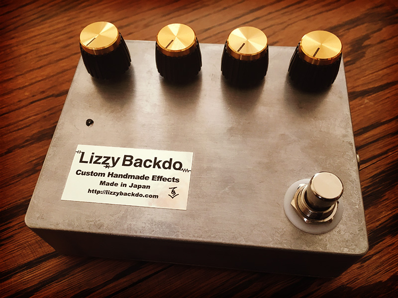 Lizzy Backdo Overfuzz Driver